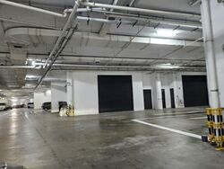 Woodlands Horizon (D25), Factory #544645541